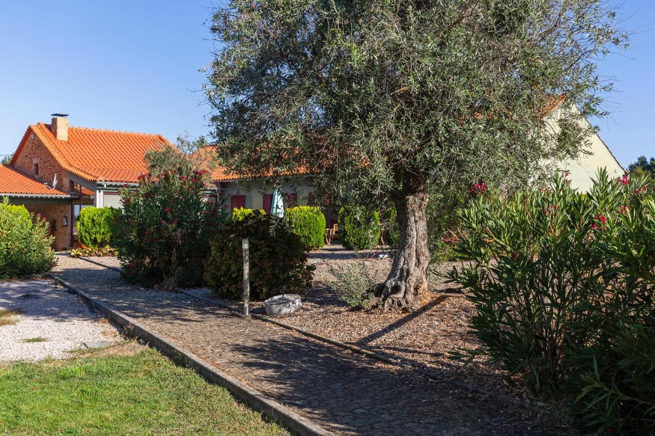 הוילה Carragozela Quinta Do Chao Da Vinha מראה חיצוני תמונה