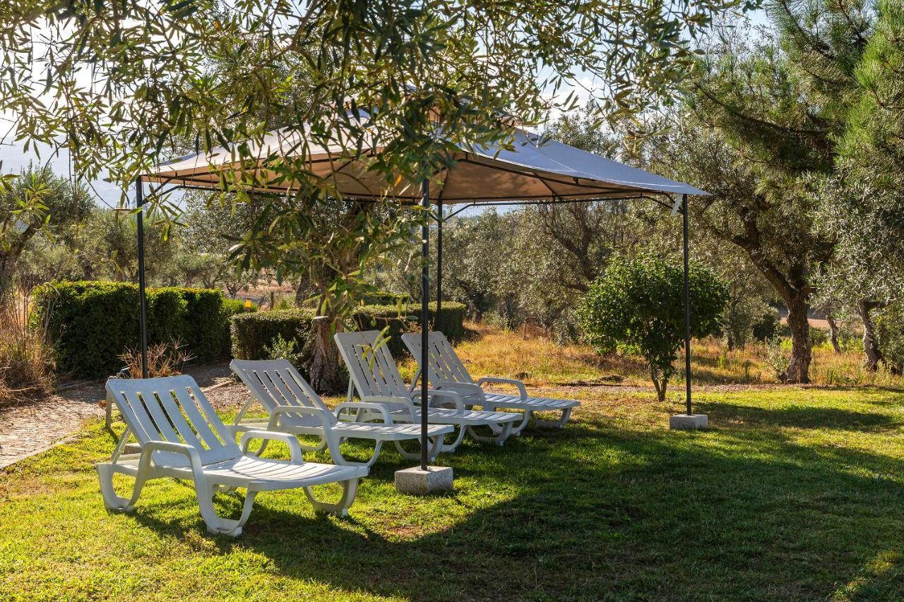 הוילה Carragozela Quinta Do Chao Da Vinha מראה חיצוני תמונה