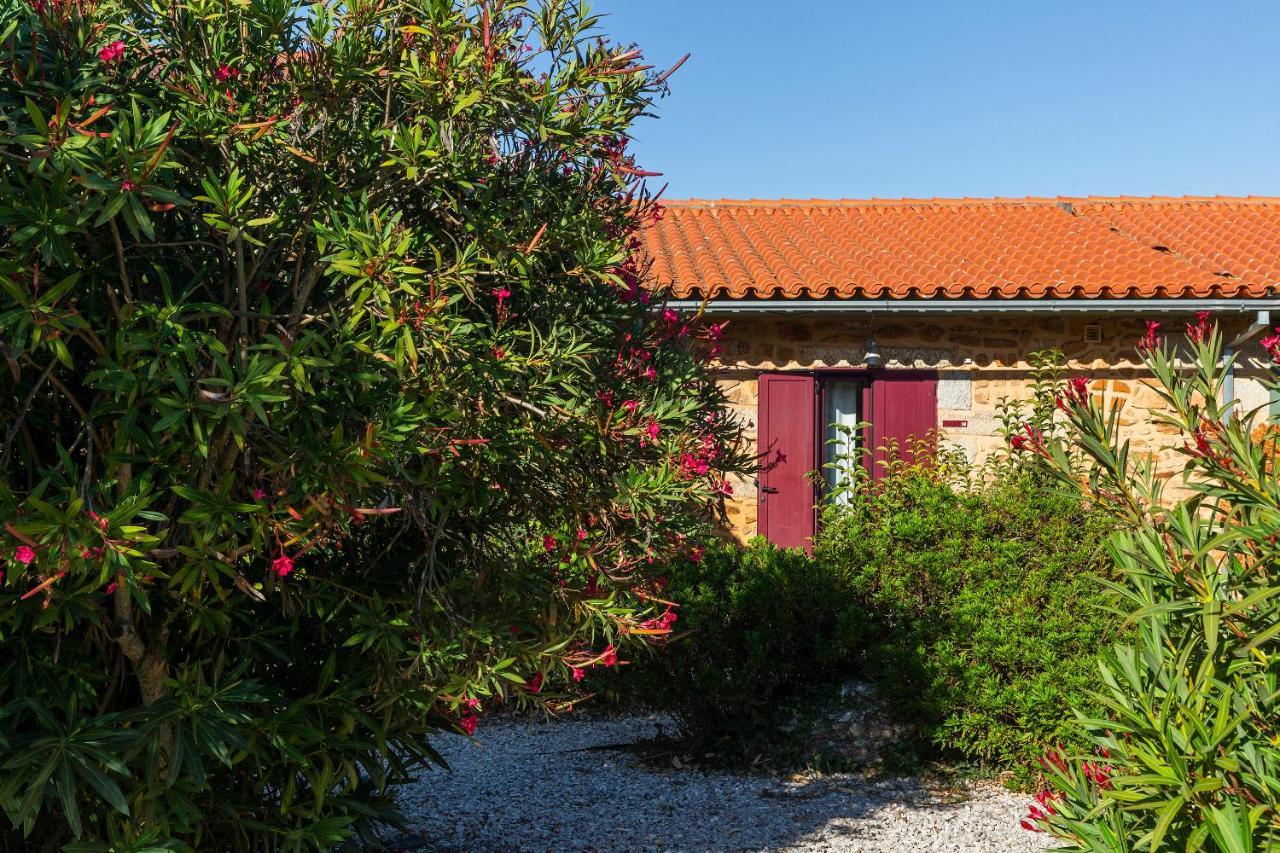 הוילה Carragozela Quinta Do Chao Da Vinha מראה חיצוני תמונה