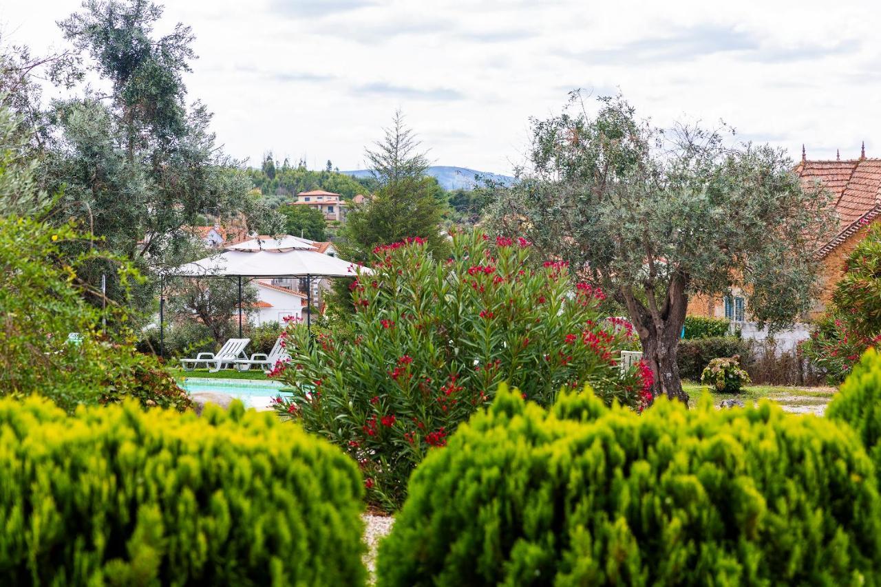 הוילה Carragozela Quinta Do Chao Da Vinha מראה חיצוני תמונה