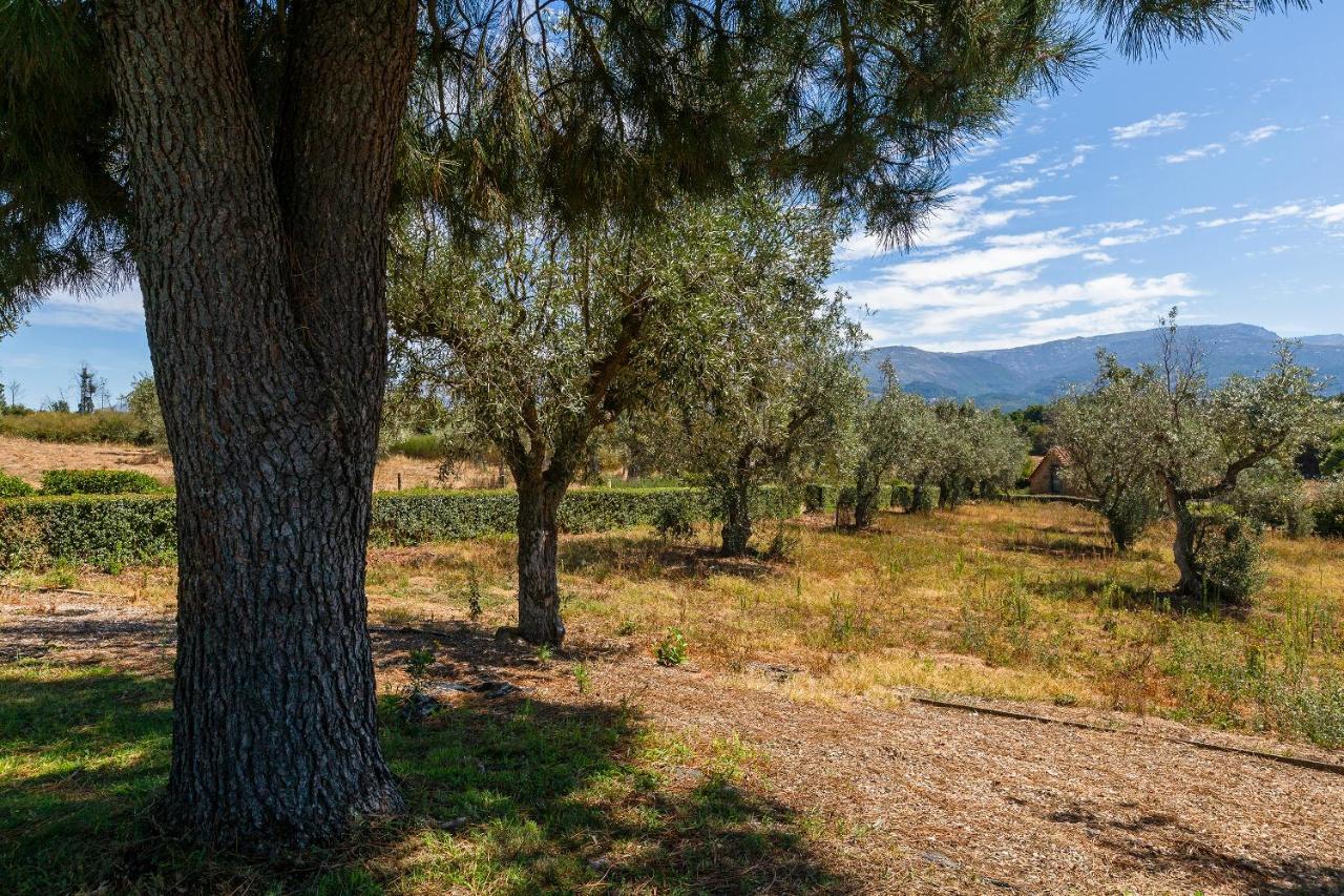 הוילה Carragozela Quinta Do Chao Da Vinha מראה חיצוני תמונה