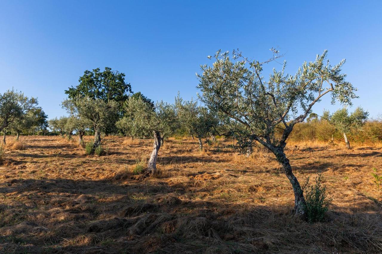 הוילה Carragozela Quinta Do Chao Da Vinha מראה חיצוני תמונה
