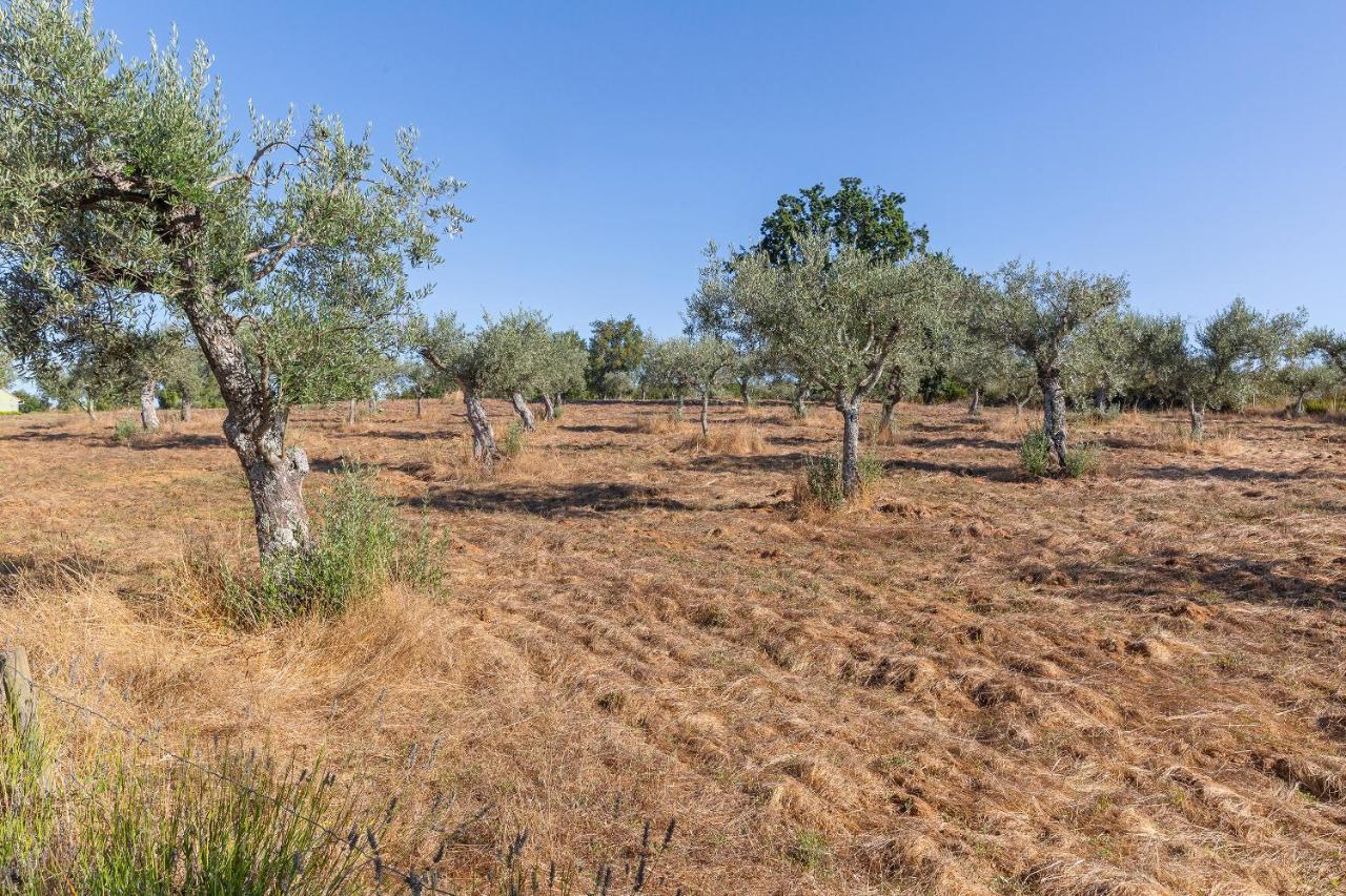 הוילה Carragozela Quinta Do Chao Da Vinha מראה חיצוני תמונה