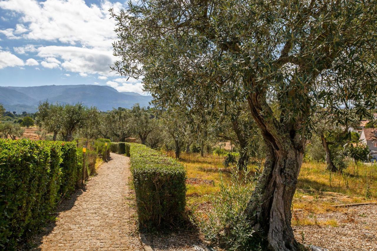 הוילה Carragozela Quinta Do Chao Da Vinha מראה חיצוני תמונה